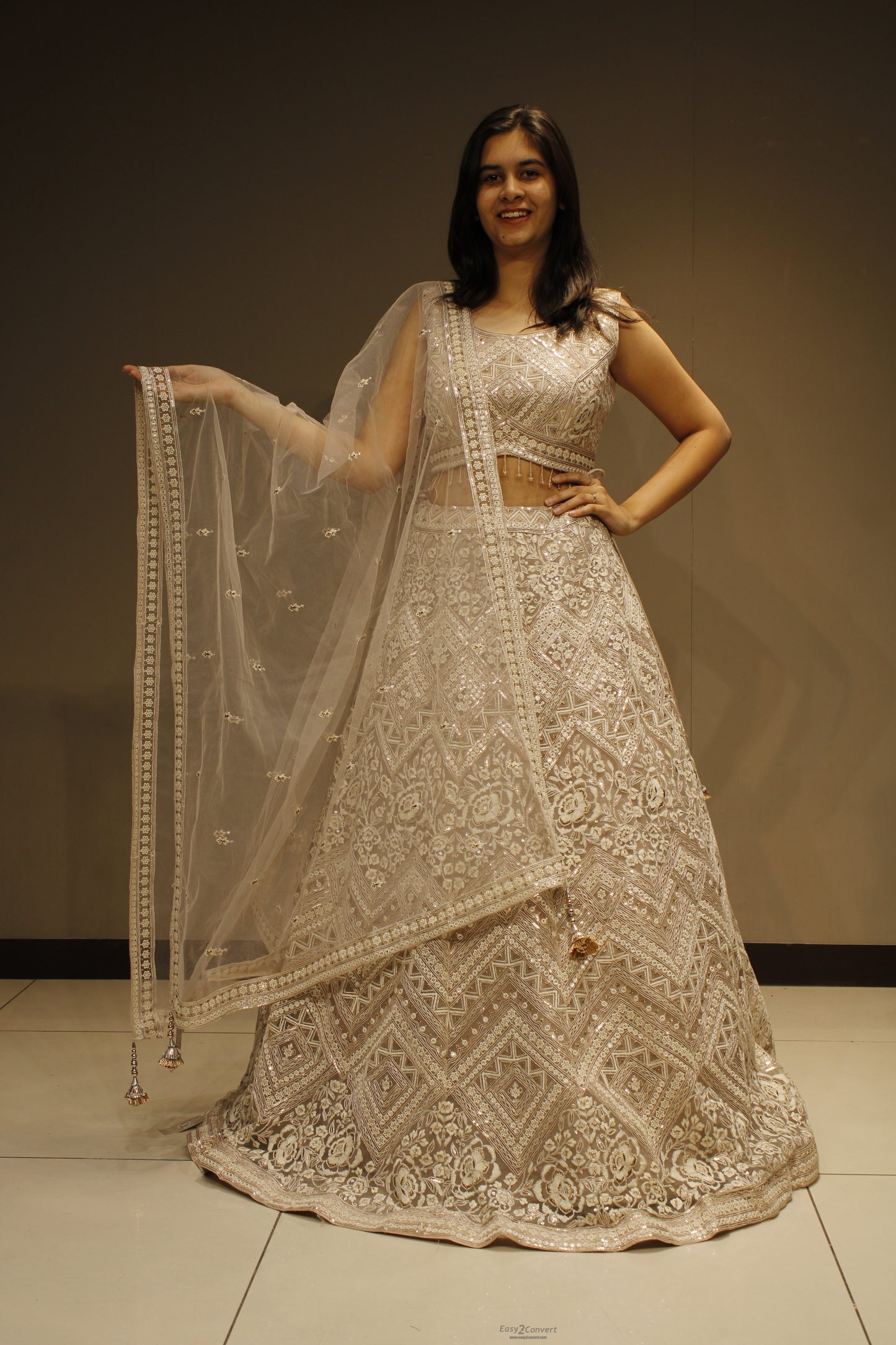 Elegant Net Crop Top with Intricate Resham Embroidery