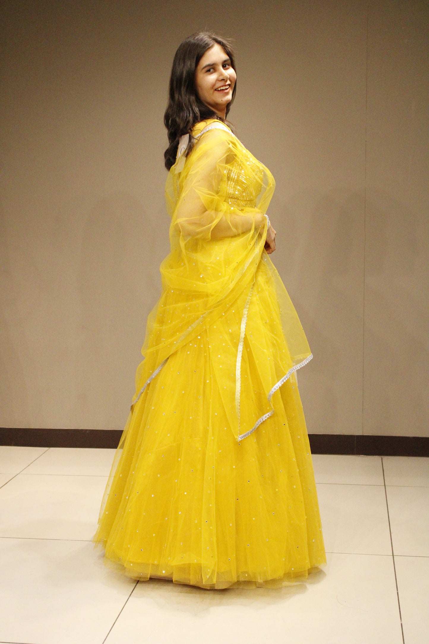 Stylish Net Crop Top with Shimmering Sequin Embellishments