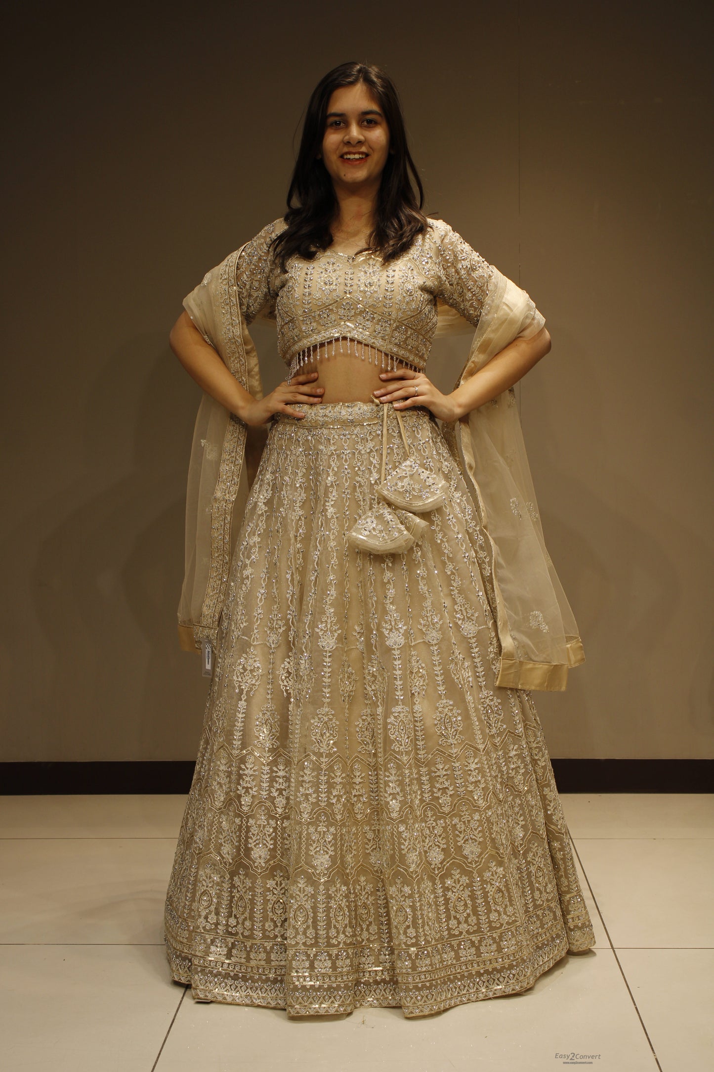Elegant Net Crop Top with Intricate Cutdana Embellishments