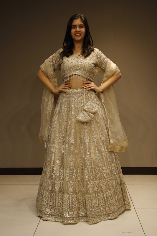 Elegant Net Crop Top with Intricate Cutdana Embellishments