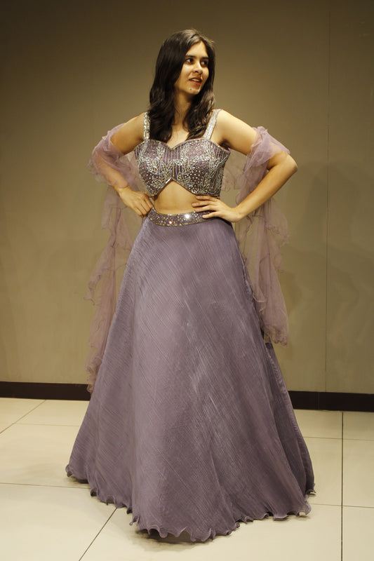 Elegant Organza Tissue Crop Top with Mirror Embellishments