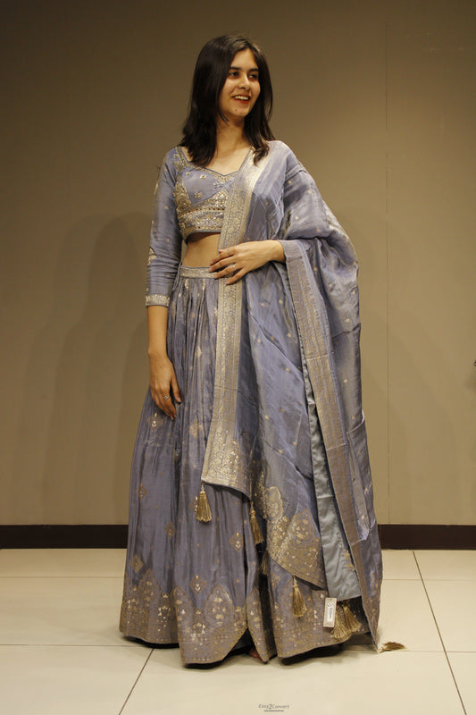Tissue Crop Top with Elegant Zari Embroidery