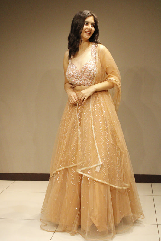 Exquisite Net Crop Top with Intricate Cutdana Embellishments