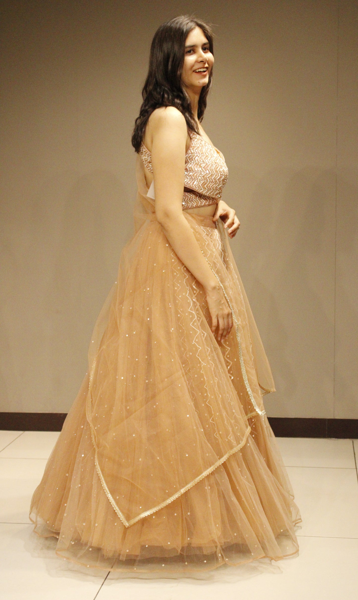 Exquisite Net Crop Top with Intricate Cutdana Embellishments