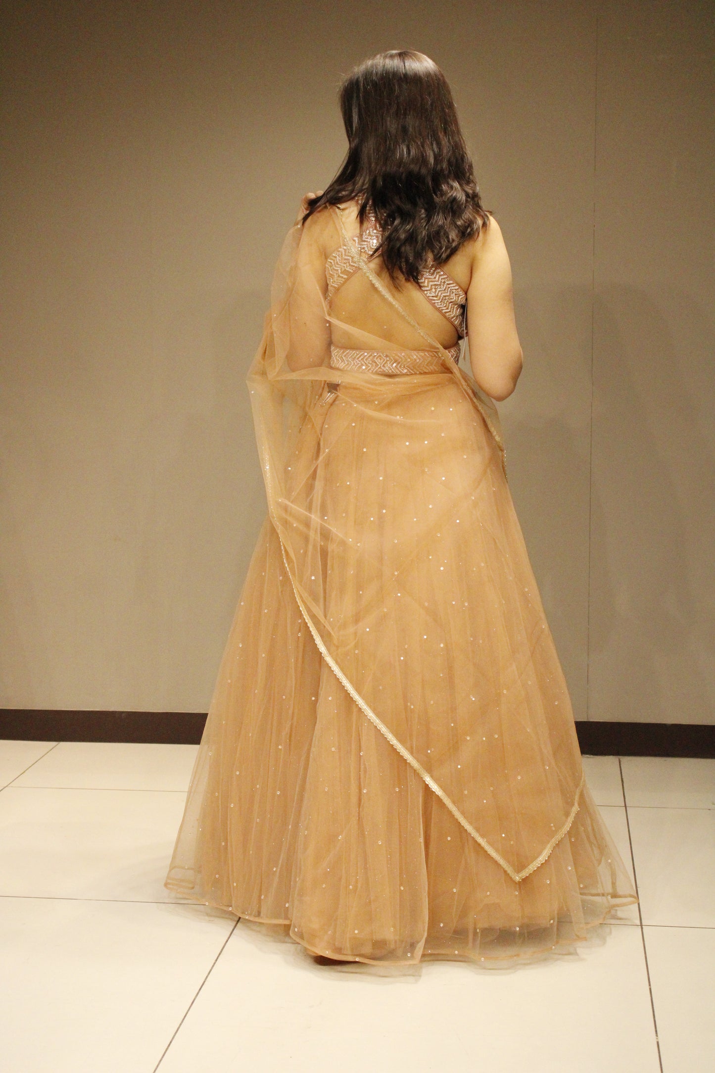 Exquisite Net Crop Top with Intricate Cutdana Embellishments