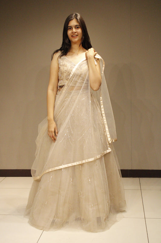 Elegant Net Crop Top with Handcrafted Cutdana Embellishments