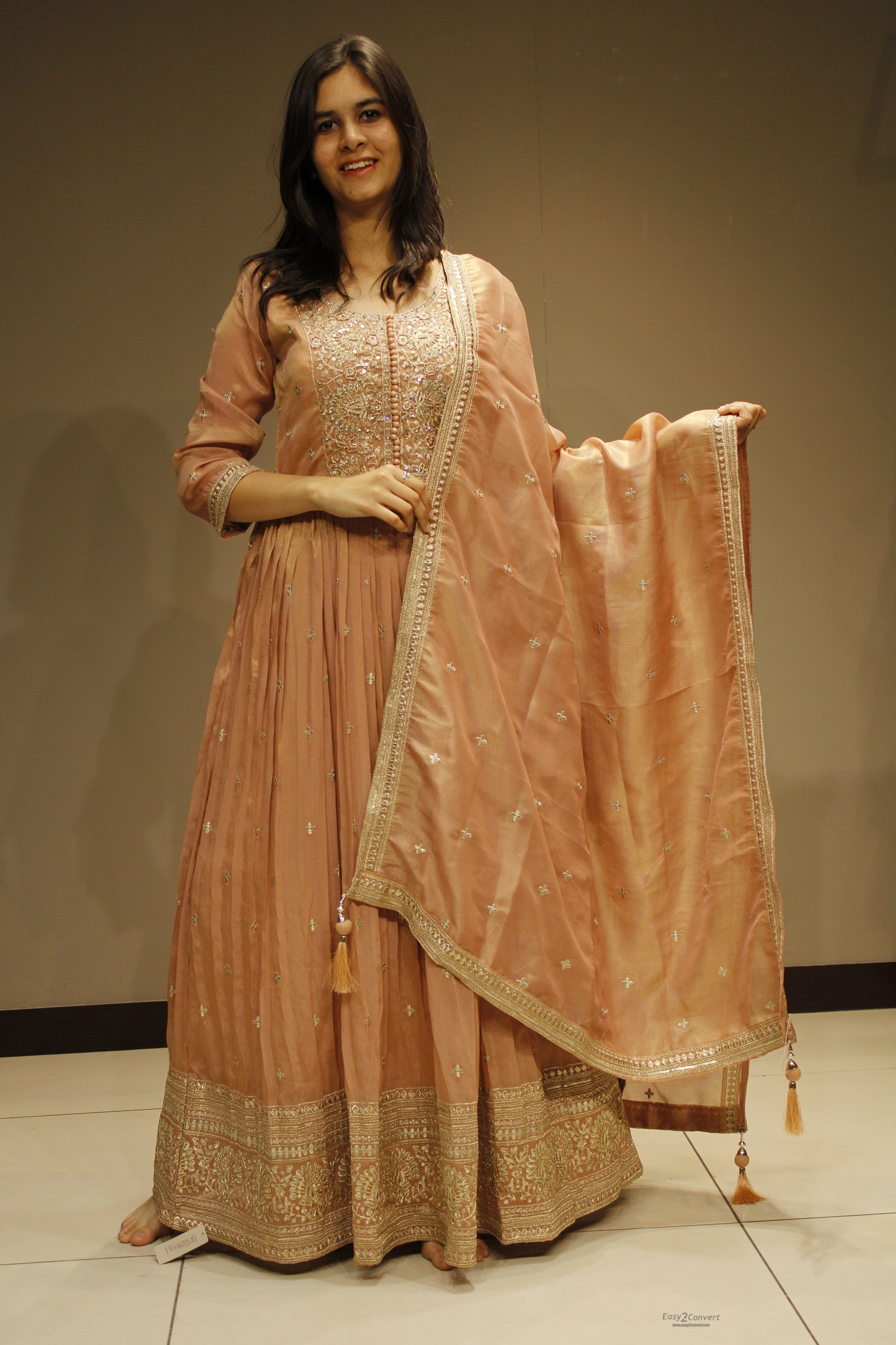 Tissue Anarkali with Intricate Zari Embroidery