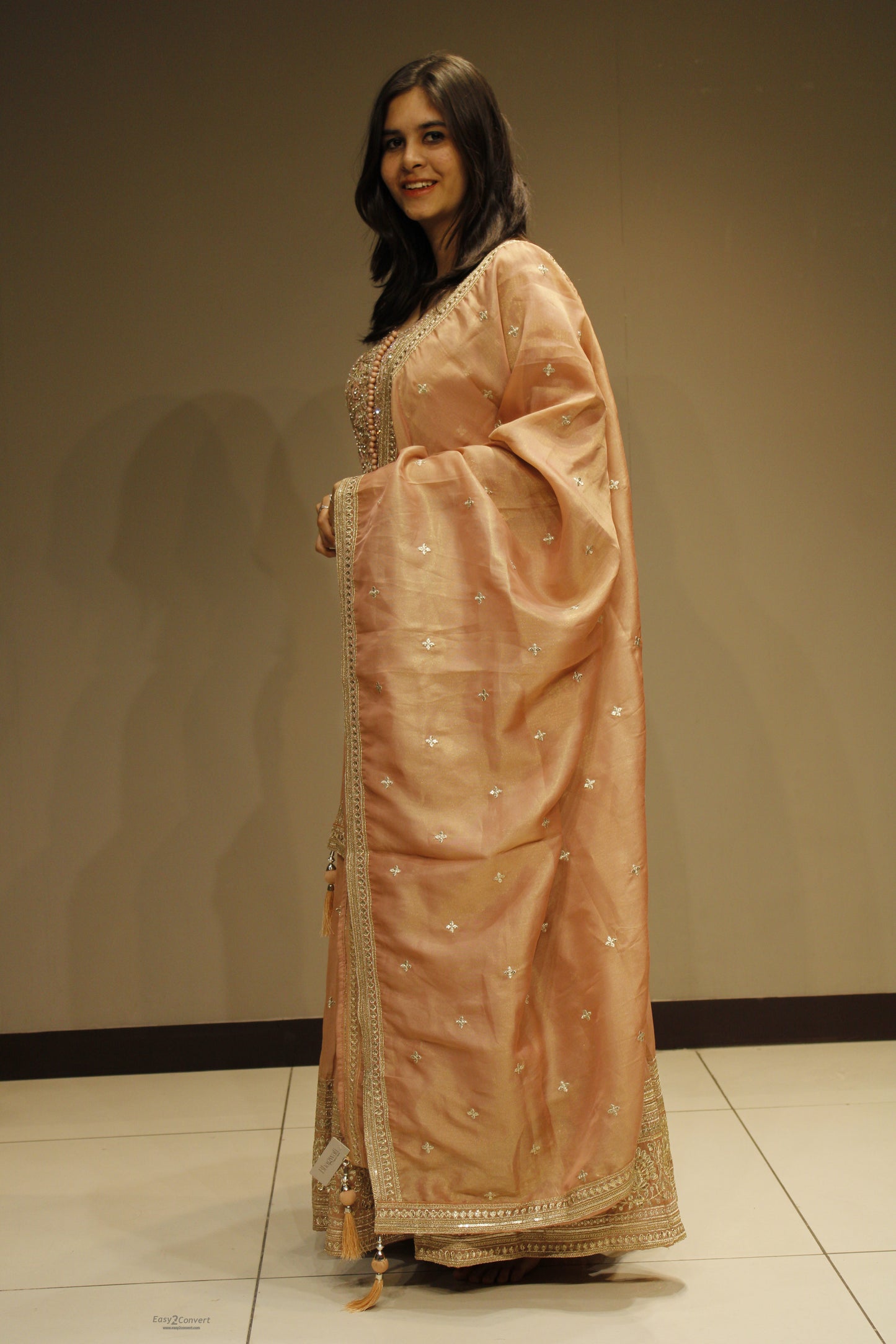 Tissue Anarkali with Intricate Zari Embroidery