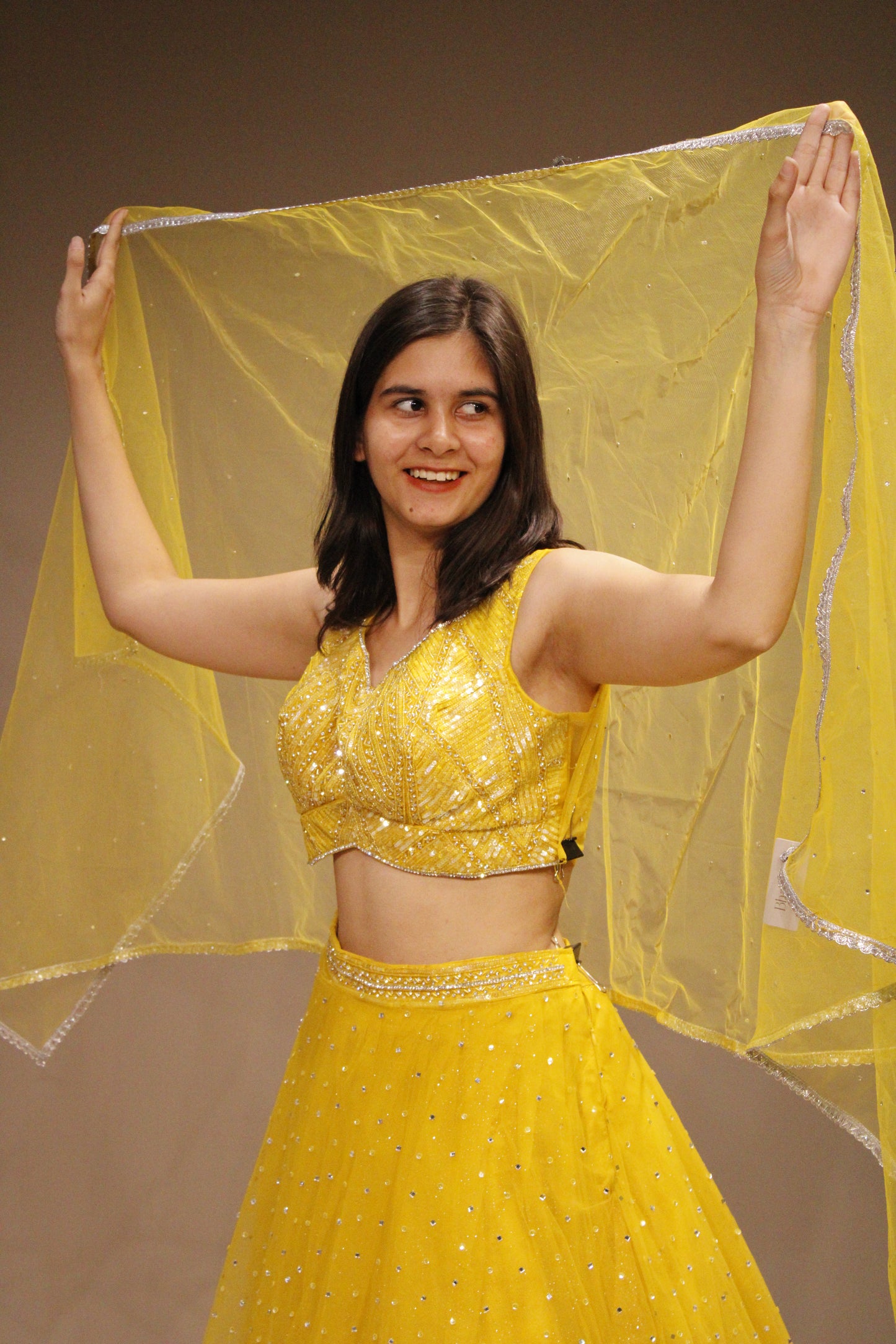 Stylish Net Crop Top with Shimmering Sequin Embellishments