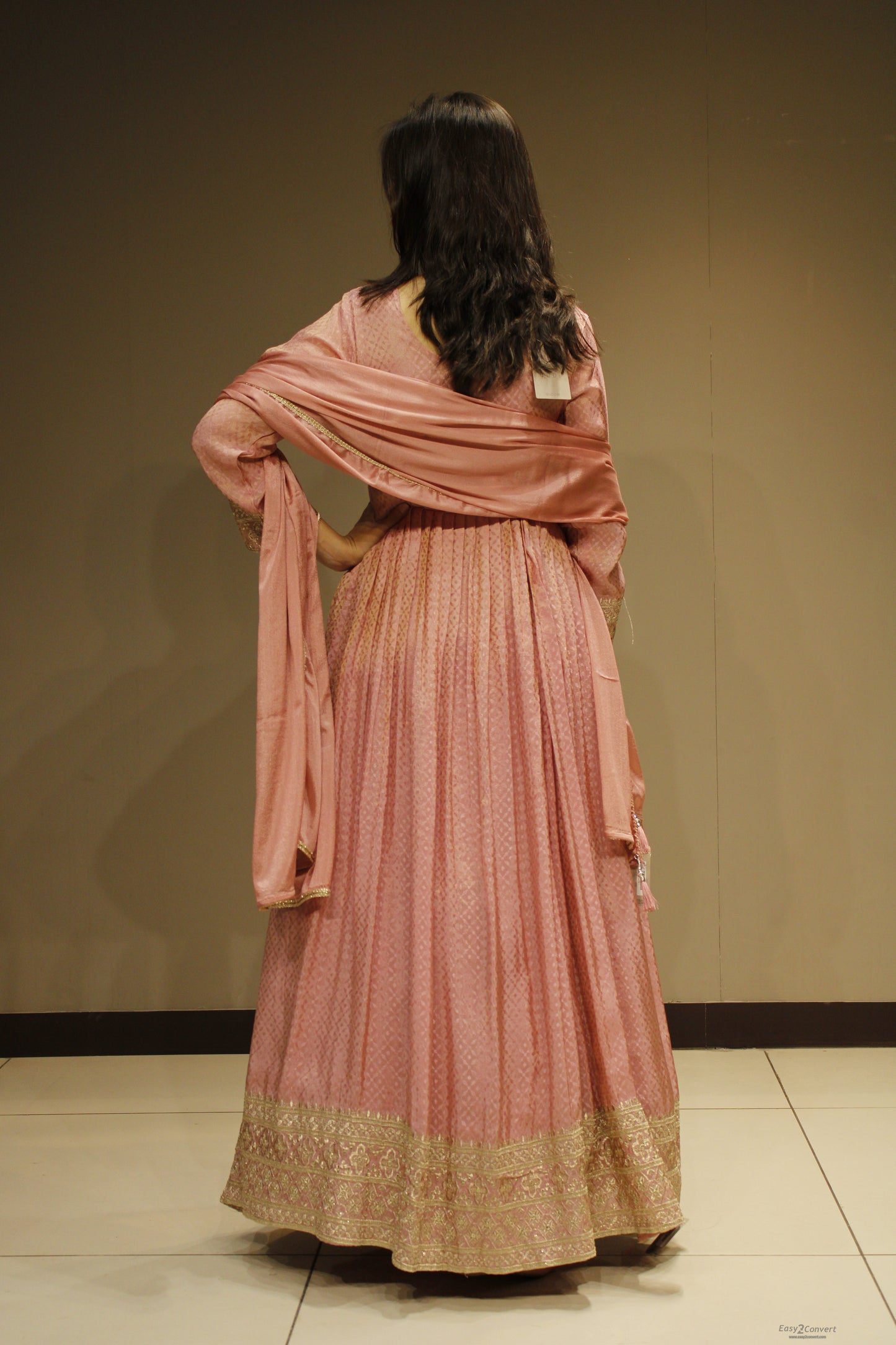 Tissue Anarkali with Exquisite Zari Embroidery
